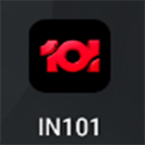 IN101 Game Logo